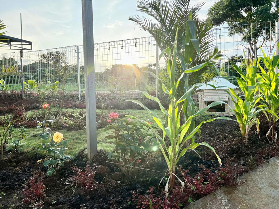 Sân vườn tại farmstay ở Tà Đùng