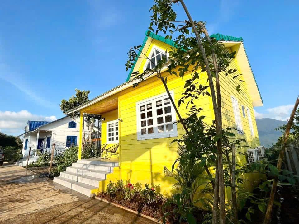 Nhà gỗ sơn vàng giữa vườn cây ở Tà Đùng