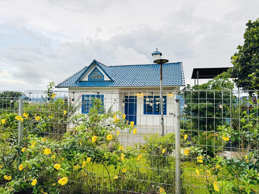 Nhà trắng mái xanh giữa vườn hoa
